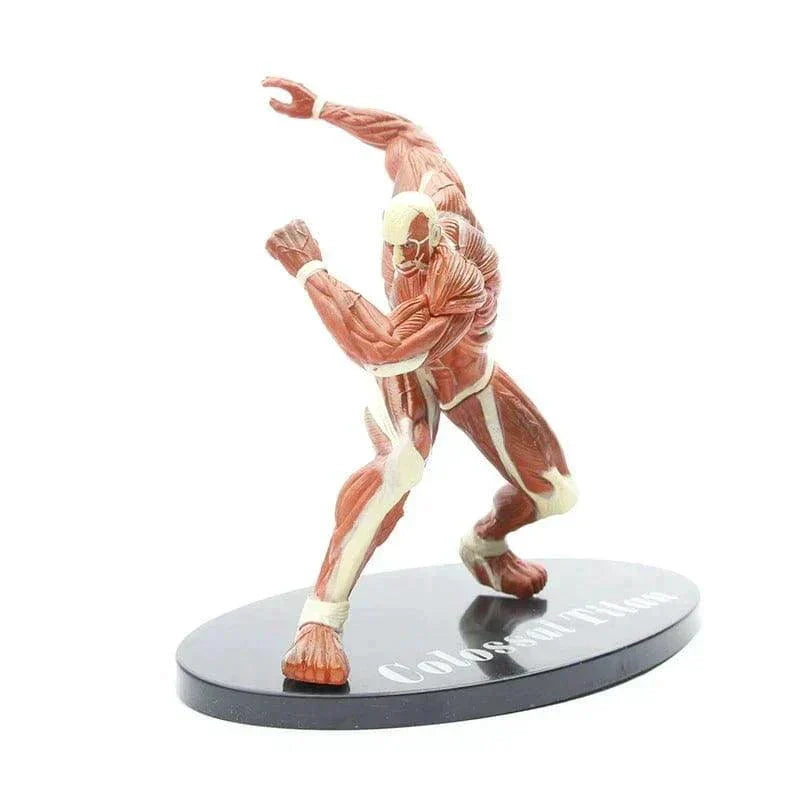 Figurine Attaque des Titans - Titan Colossal - Anime Town